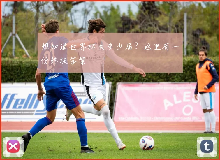 想知道世界杯共多少届？这里有一份终极答案