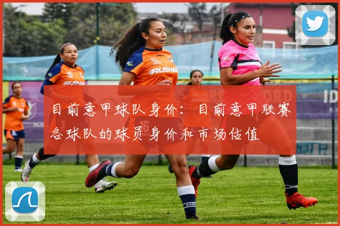 目前意甲球队身价：目前意甲联赛各球队的球员身价和市场估值